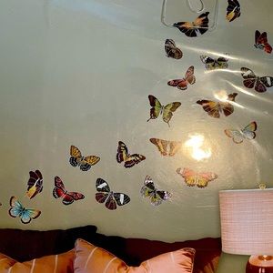 Butterfly wall decals